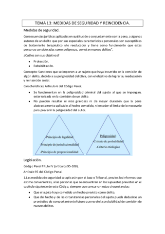 Psicopatologia-13.pdf