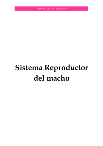 Reproductor-I.pdf
