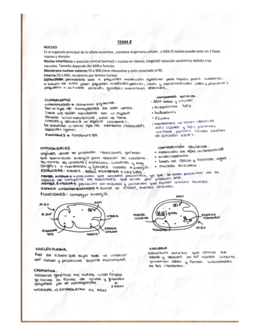 Tema-8-y-9.pdf