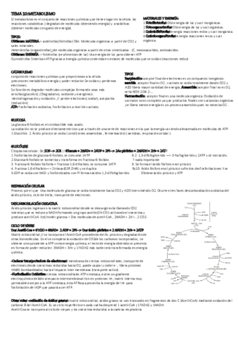 TEMA-10-METABOLISMO.pdf