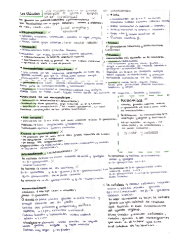 TEMA-2--los-glucidos-.pdf