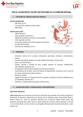 T18-Clinica-II.pdf