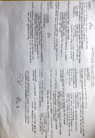 antropologia-contractualistas.pdf
