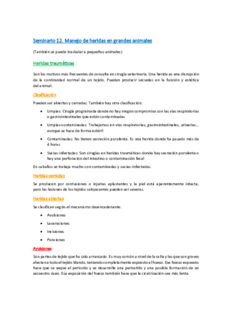Seminario-12.pdf