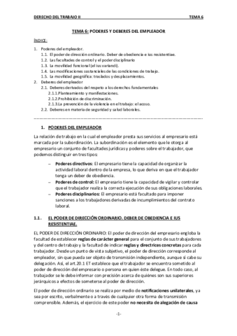 TEMA-6.pdf