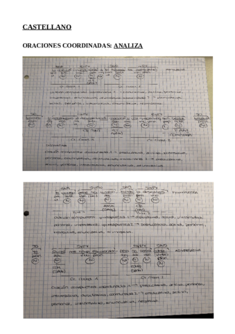 castellano-sintaxis-solucionadas.pdf