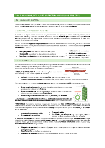 CHULETARIO-TEMA-10.pdf