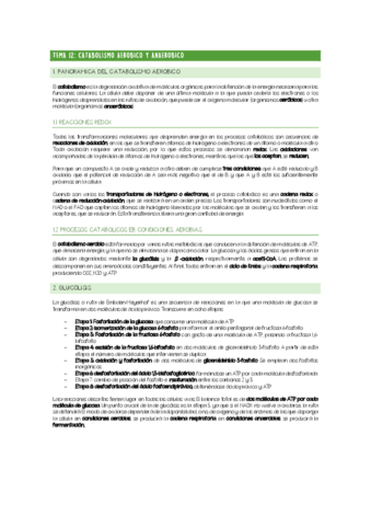 CHULETARIO-TEMA-12.pdf