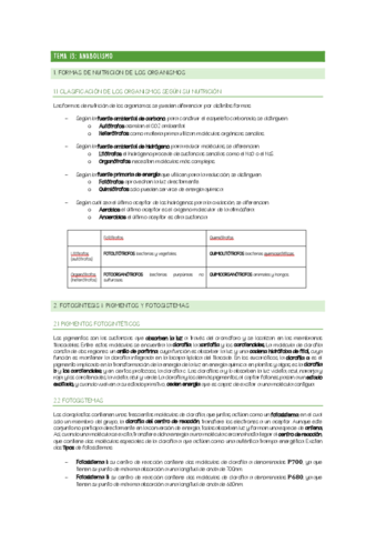 CHULETARIO-TEMA-13.pdf