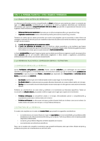 CHULETARIO-TEMA-9.pdf