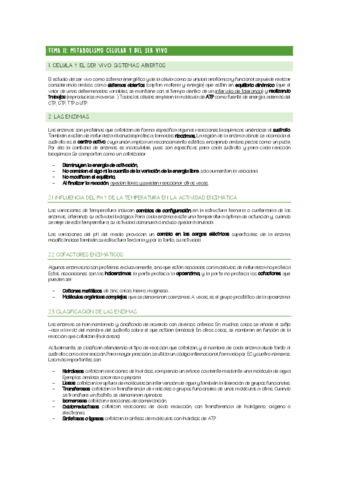 CHULETARIO-TEMA-11.pdf