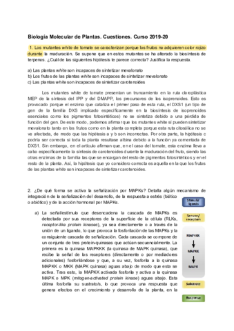 Cuestiones-2019-20.pdf