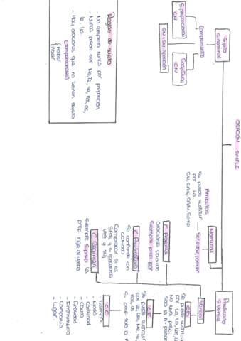 esquema-oracion-simple.pdf