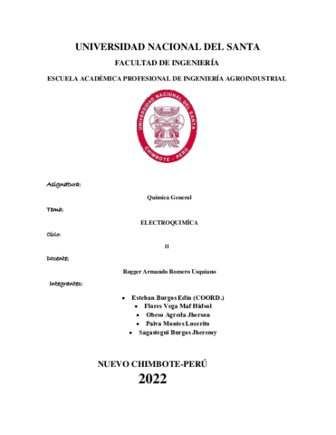 LAB13-ELECTROQUIMICA-QUIMICA.pdf