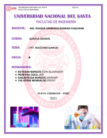 LABORATORIO-5-REACCIONES-QUIMICAS-QUIMICA.pdf