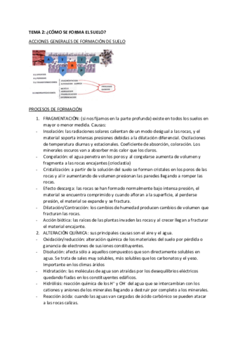 TEMA-2-EDAFOLOGIA.pdf