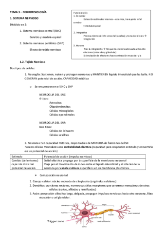 TEMA-3A-Neurologiasistema-nervioso.pdf