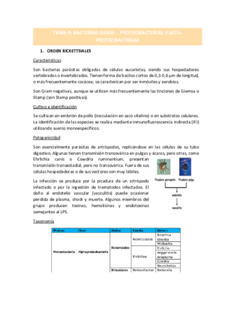 TEMA-9.pdf