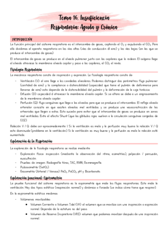 Tema-16.pdf