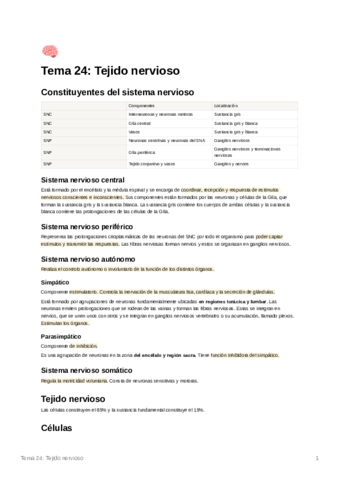 Tema24Tejidonervioso.pdf