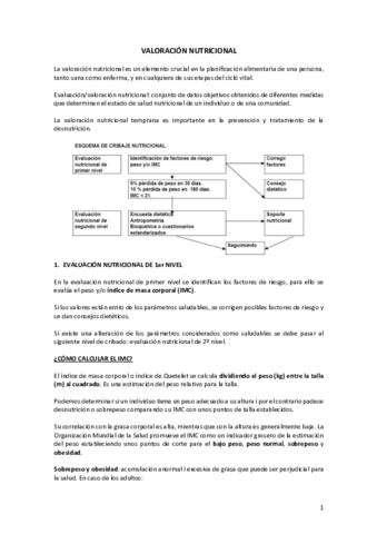 ALIMENTACIO-TEMA-3.pdf