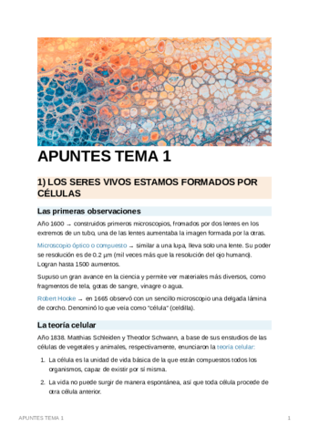 APUNTESTEMA1.pdf