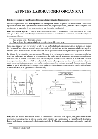 APUNTES-LAB-ORGANICA-I.pdf