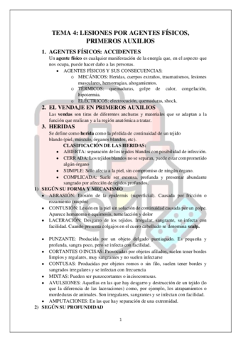 TEMA-4.pdf