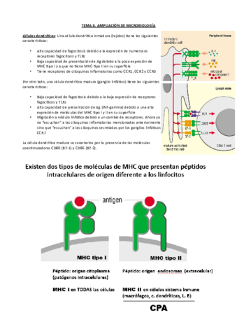 Tema-8-Ampli-micro.pdf