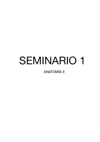 seminarios-anatomia-II.pdf