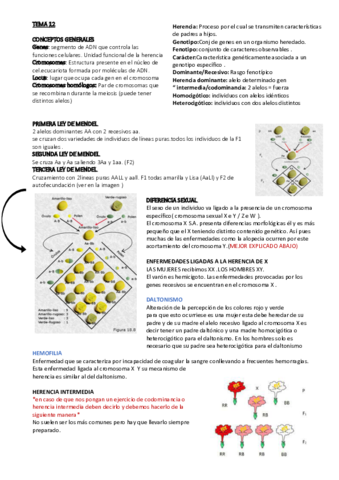 TEMA-12-GENETICA.pdf