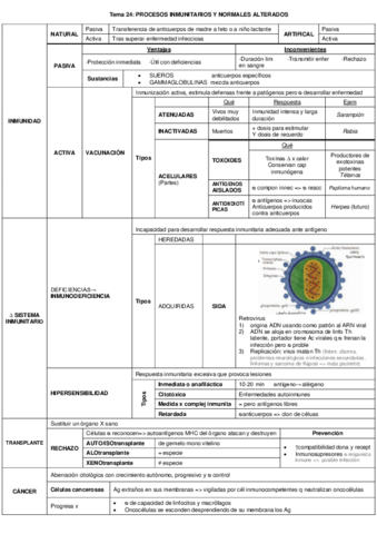 Esquema-tema-24-PROCESOS-INMUNITARIOS-Y-NORMALES-ALTERADOS.pdf