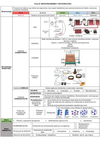 Esquema-tema-22-MICROORGANISMOS-Y-BIOTECNOLOGIA.pdf