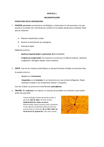 practicas-psicobio-COMPLETO.pdf