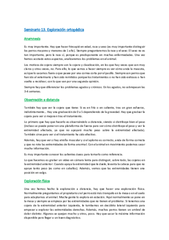 Seminario-13.pdf