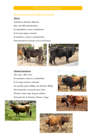 Razas-Bovinas-Autoctonas-Extincion-e-Integradas.pdf