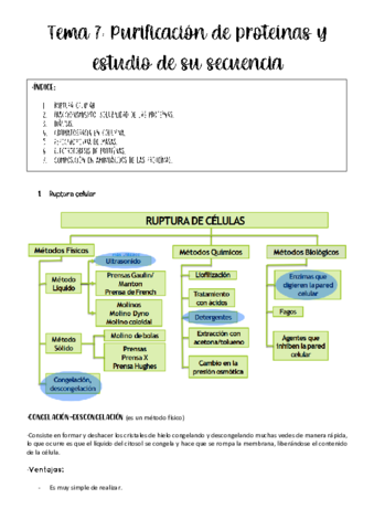 Tema-7-bioquimica.pdf