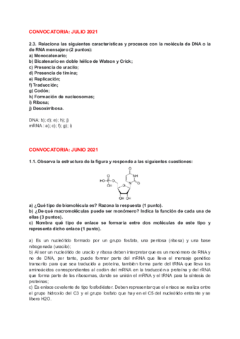 PAUs-BIO-T5-ACIDOS-NUCLEICOS.pdf