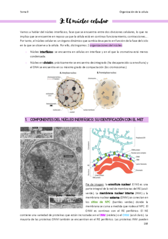 Tema-9-Organizacion-de-la-celula.pdf