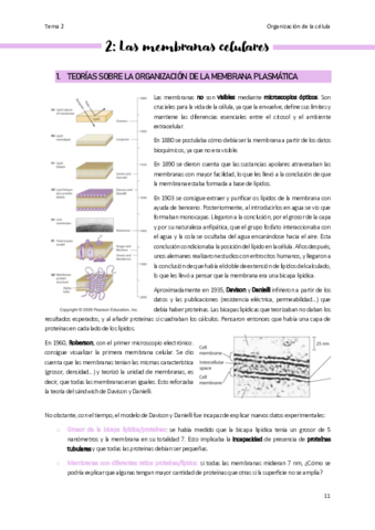 Tema-2-organizacion-de-la-celula.pdf