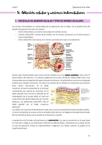 Tema-5-Organizacion-de-la-celula.pdf