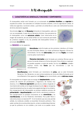 Tema-3-Organizacion-de-la-celula.pdf