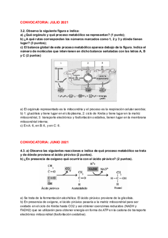 PAUs-BIO-T13-EL-CATABOLISMO.pdf