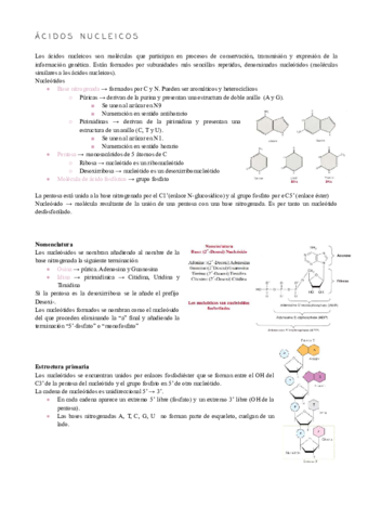 Biologia-molecular-compressed-1.pdf