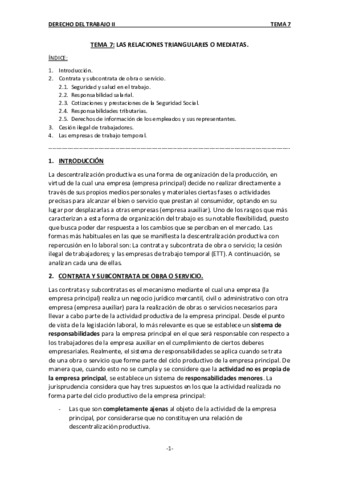 TEMA-7.pdf