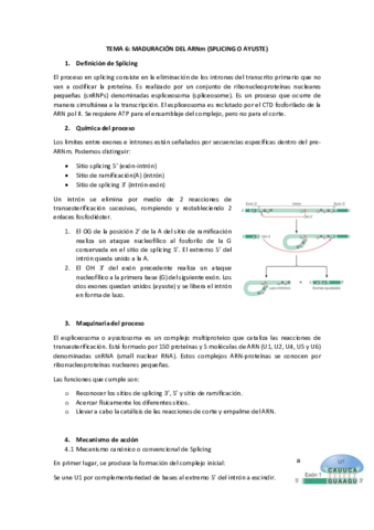 tema-6-bios.pdf