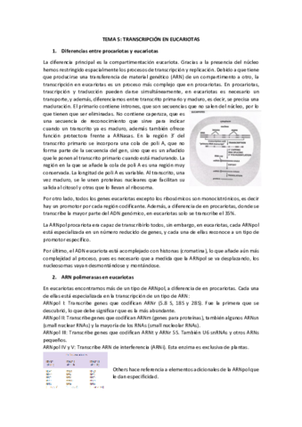 TEMA-5-bios.pdf