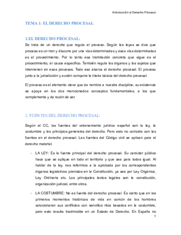 Apuntes Derecho Procesal I (completos).pdf