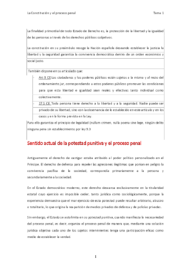 Derecho Procesal Penal - teoría completa.pdf