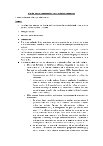 TEMA-2.pdf